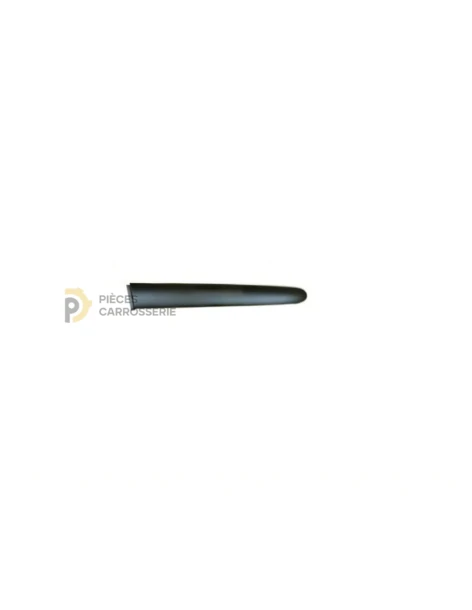 Moulure de porte arrière gauche PEUGEOT 206 à peindre 5 portes