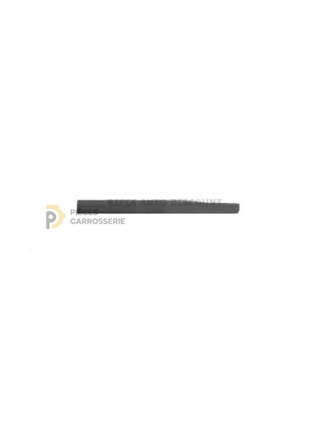 Moulure porte arrière gauche VOLKSWAGEN POLO 4ptes à peindre
