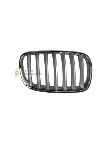 Grille titane et entourage chromé pour BMW X5 II (E70)