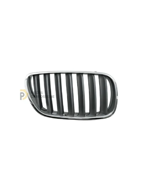 Entourage chromé et grille titane pour BMW X3 I E83