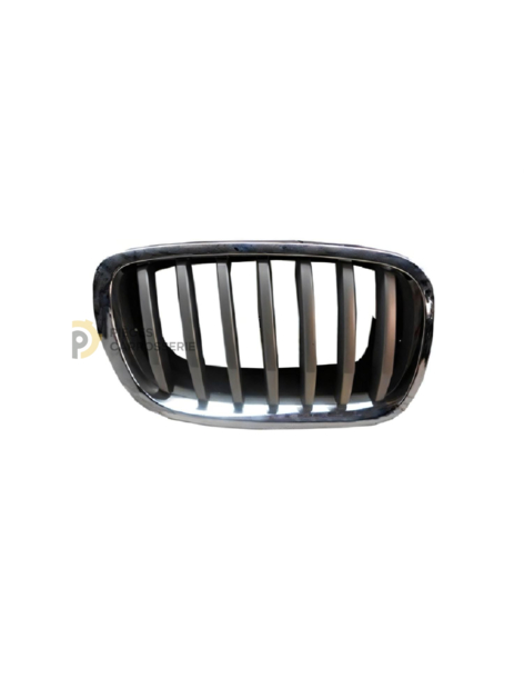 Grille Chromée Noir pour BMW X5 II (E70) 03/2007-02/2010