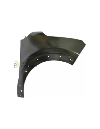 CITROEN C3 III Phase 1 & 2 : Accessoire avec trous d'extension