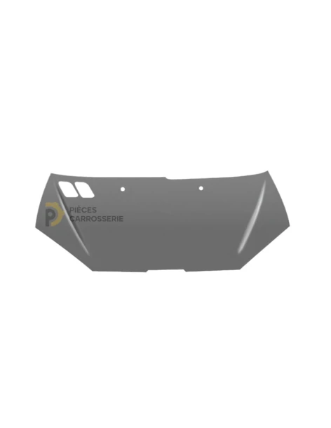 Capot moteur PEUGEOT 206 (09/1998-02/2009) - Compatible et Pratique