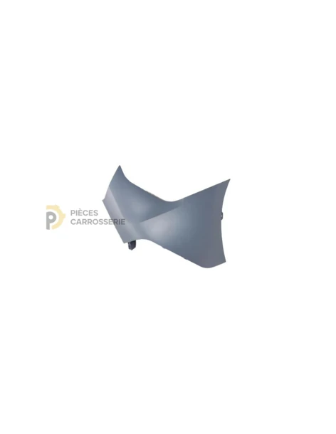Pare-chocs arrière à peindre Ford Connect II (2014-2018)